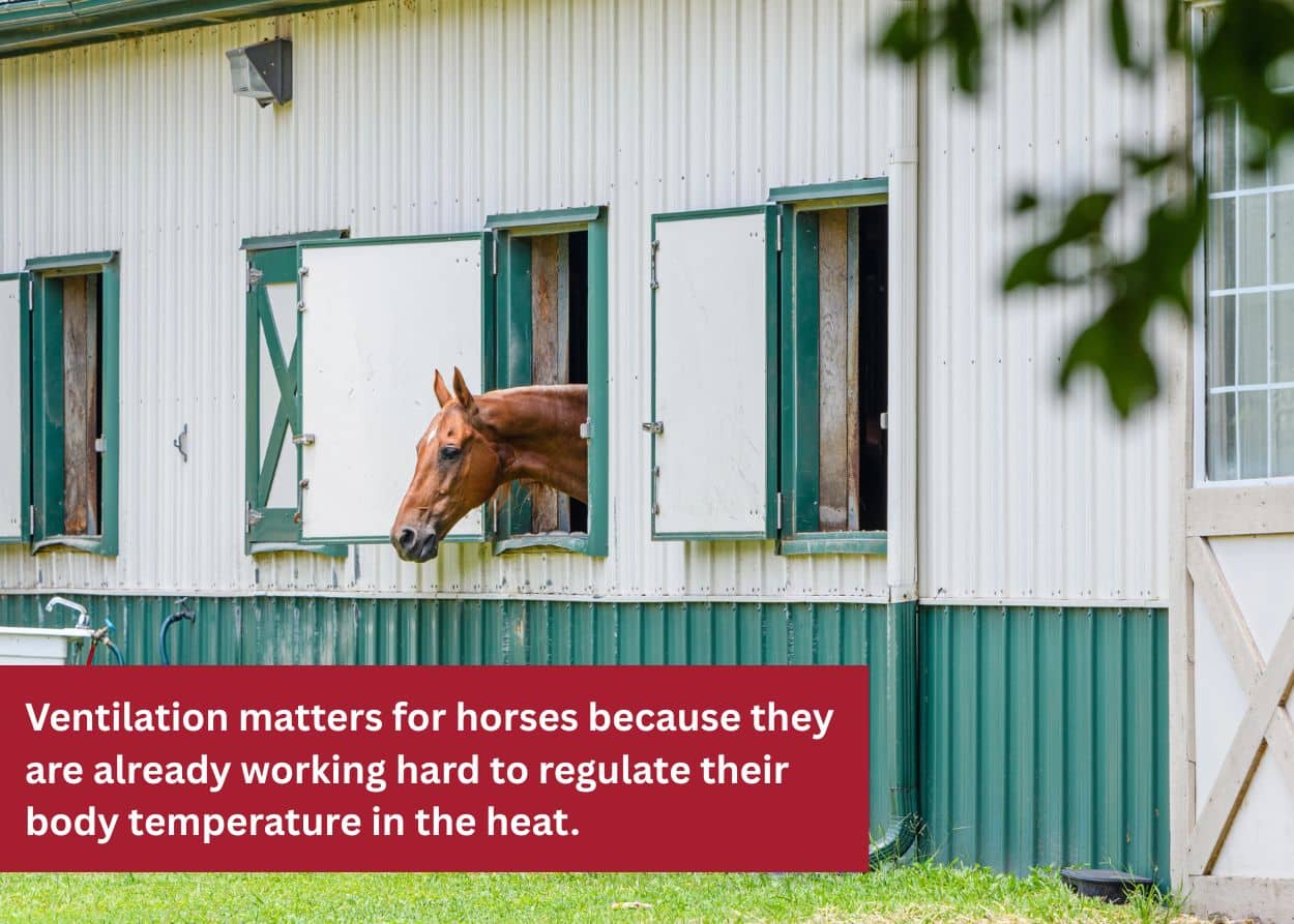 Horse sticking its head out of a barn window with green and white metal siding.