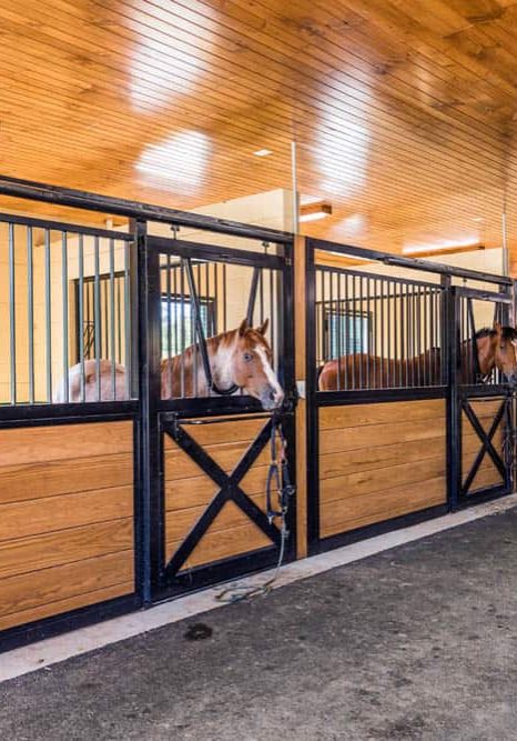 Barn Builders Virginia - Buiild your own custom horse barns with TriState Barn Builders