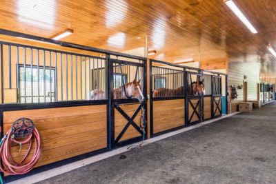 Barn Builders Virginia - Buiild your own custom horse barns with TriState Barn Builders